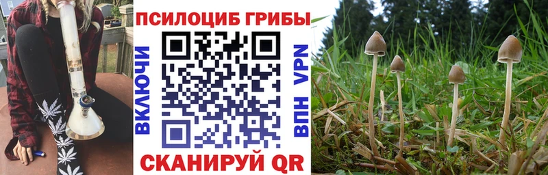 Галлюциногенные грибы GOLDEN TEACHER  гидра как войти  Белокуриха 