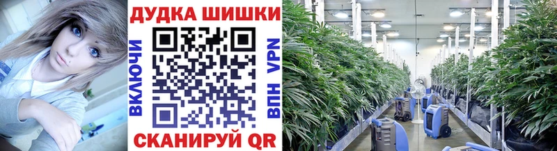 OMG ONION  Белокуриха  МАРИХУАНА THC 21% 